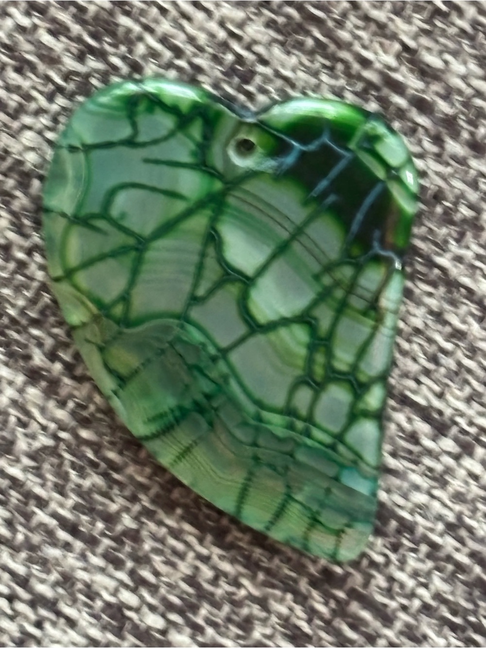 Close Up Vein Stem Leaf Phototropism Color Rock - Picture 8 of 16